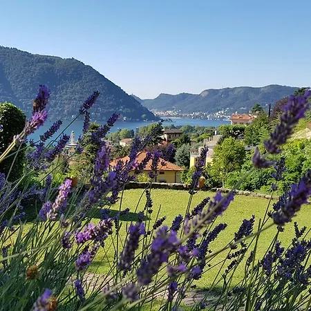 La Finestra Sul Lago Cernobbio Exterior photo